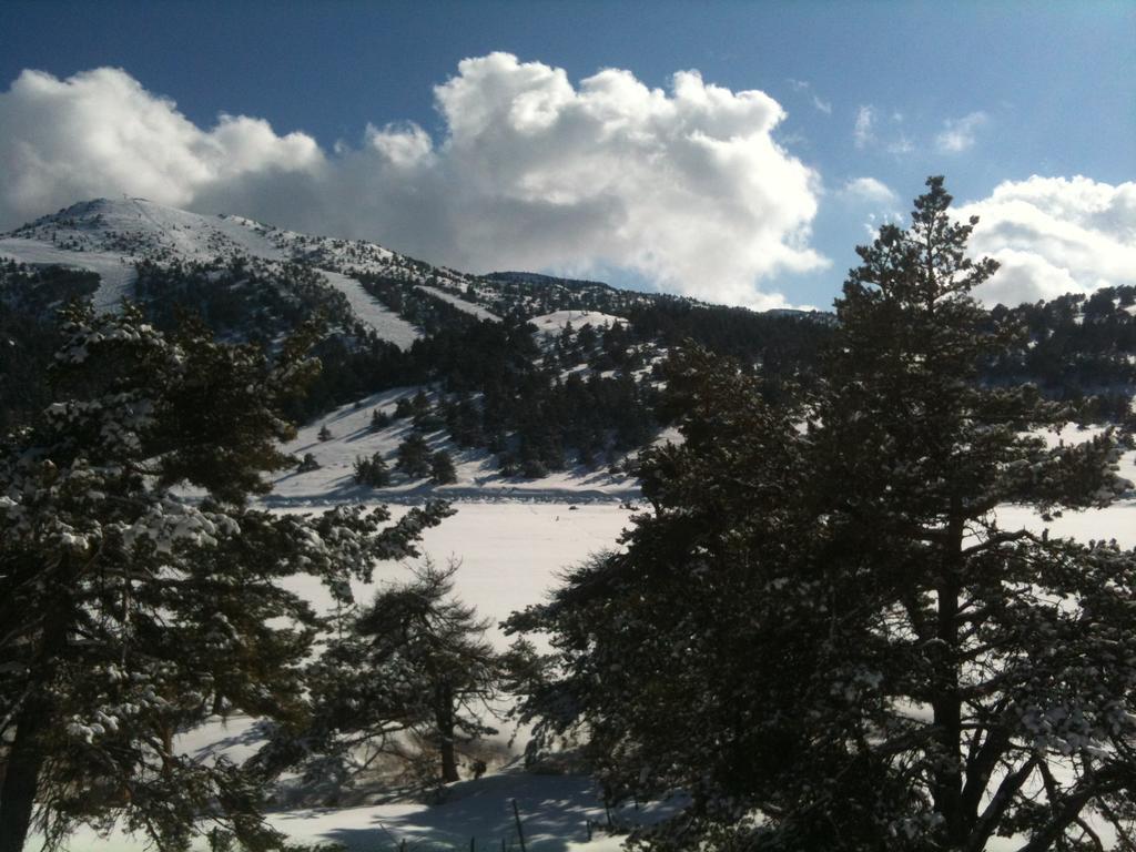 Apartment Face Aux Pistes Greolieres les Neiges Buitenkant foto