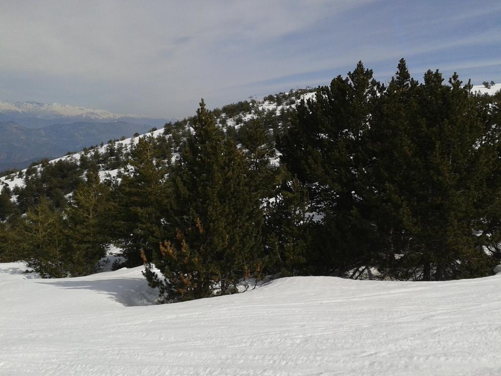 Apartment Face Aux Pistes Greolieres les Neiges Buitenkant foto