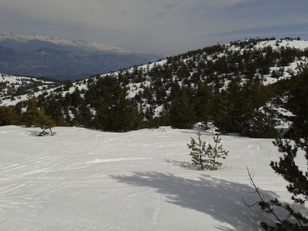 Apartment Face Aux Pistes Greolieres les Neiges Buitenkant foto